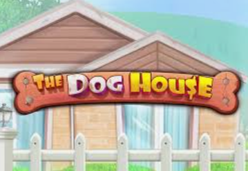 The Dog House Slot Game Real Money 2022